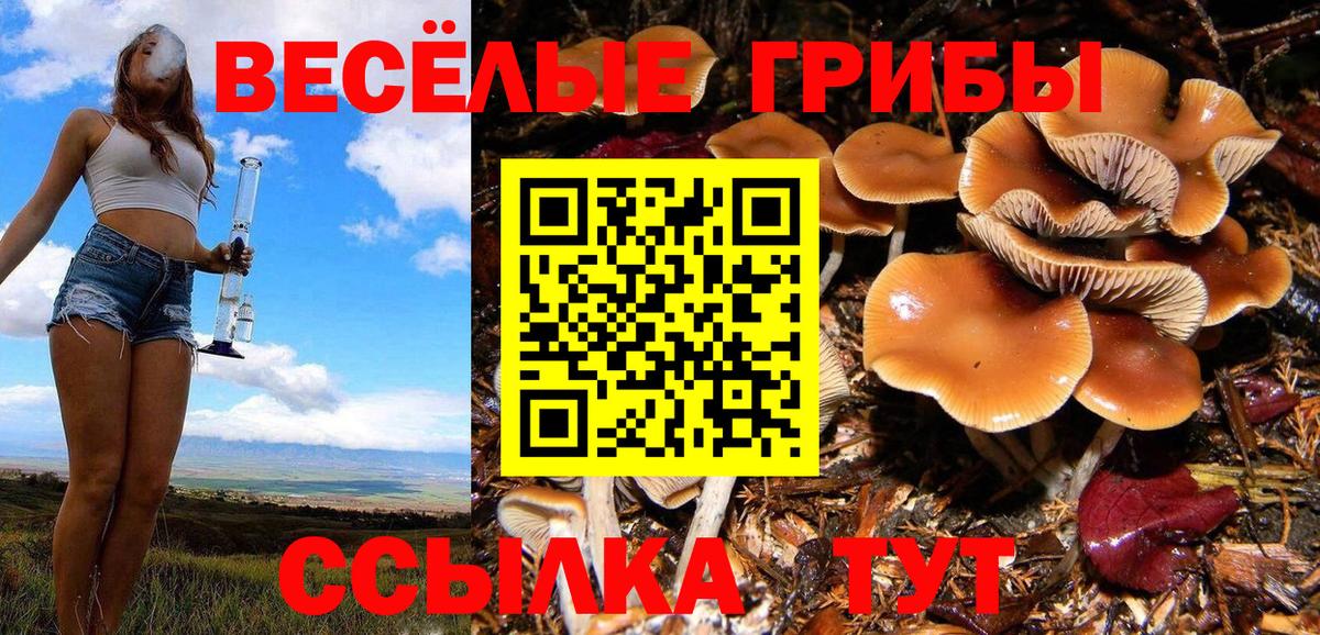 Галлюциногенные грибы MAGIC MUSHROOMS Таганрог