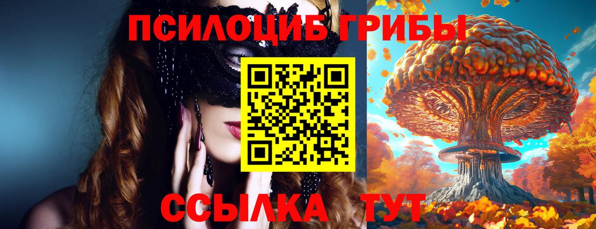 Галлюциногенные грибы MAGIC MUSHROOMS  Псилоцибиновые грибы Psilocybine cubensis  Вход с VPN  Таганрог 